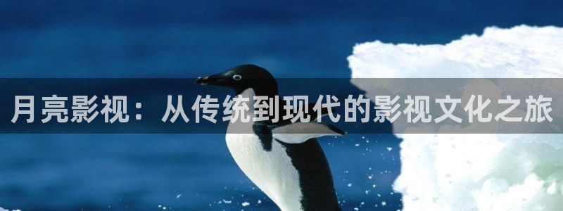 午夜看片福利网址