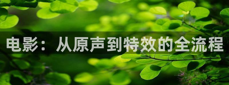 新闻图片