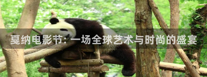 桔子午夜影院