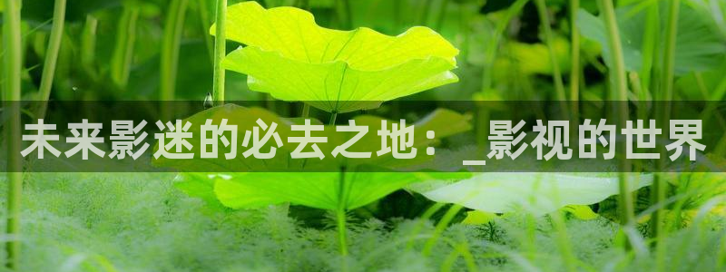美女图片网午夜影院