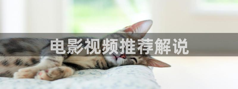 西瓜影院午夜网