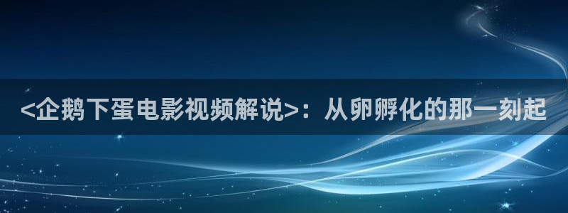 午夜影院在线观看网站