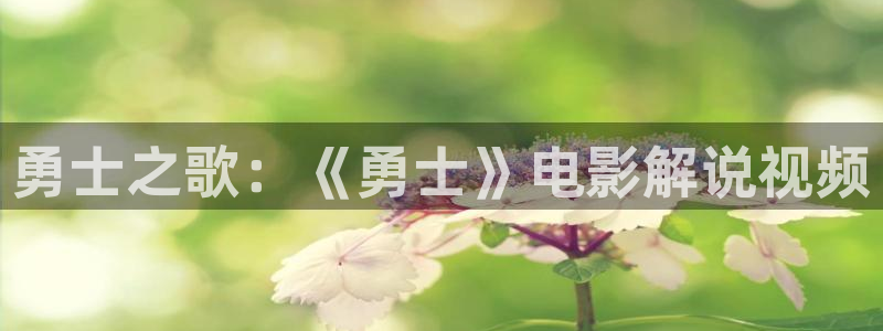 午夜电影福利91
