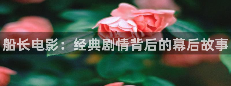 午夜电影一区