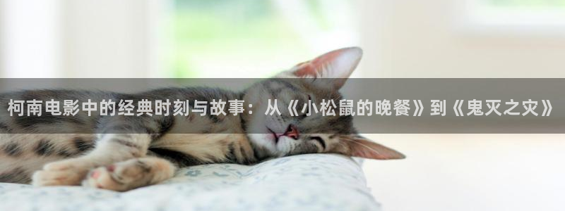 184在线观看视频午夜