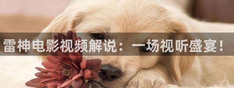 午夜男女大片免费看