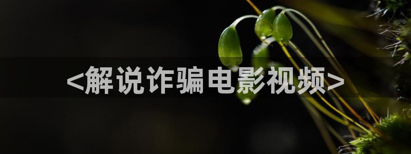 手机在线午夜看片