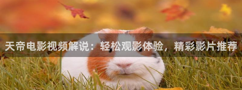 97影院理论午夜伦