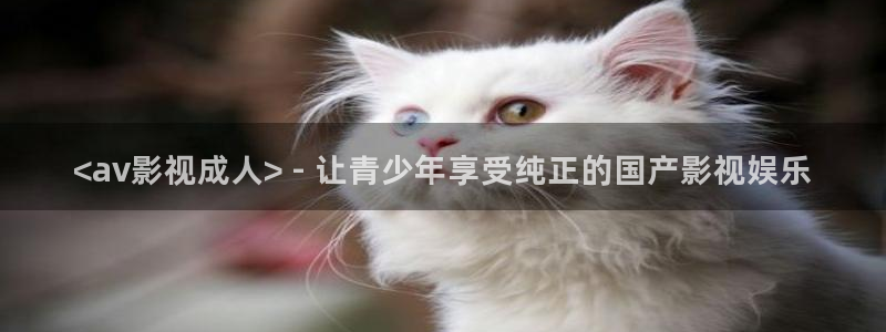 午夜tv电影网