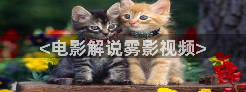 巨乳美女午夜电影