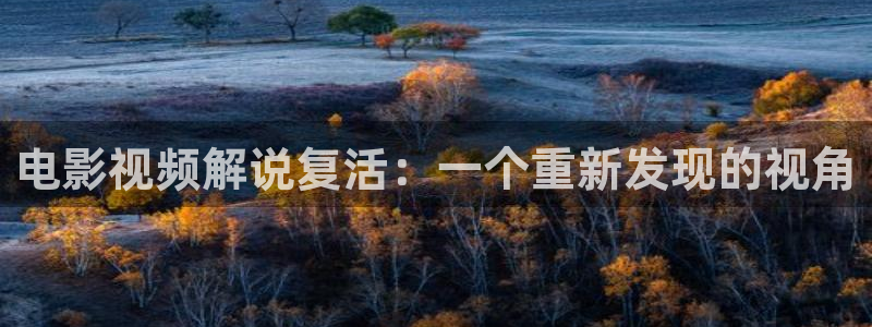 午夜国产免费电影