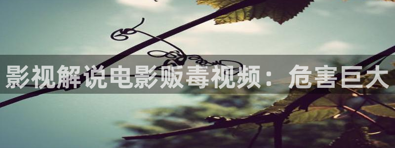 爽爽午夜影视窝窝看片