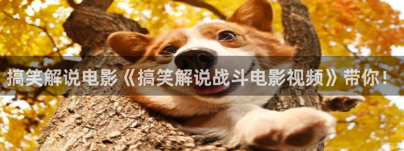 午夜大片男女免费关看