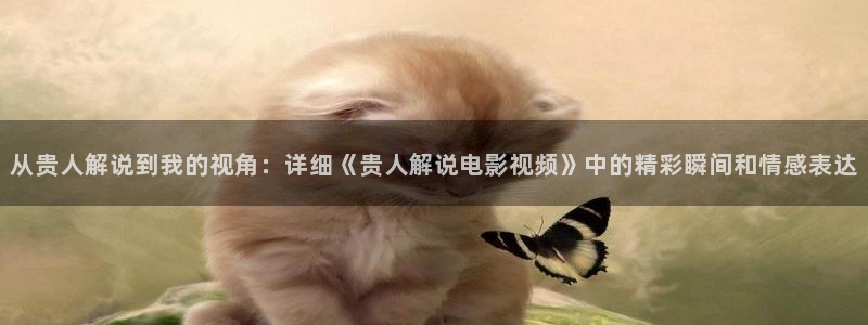 动漫午夜片