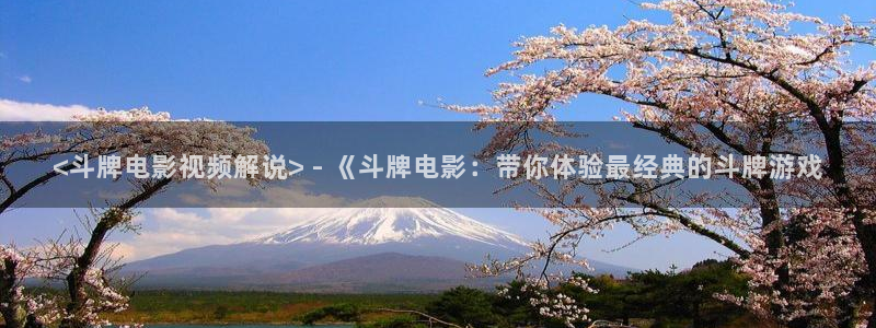 秋霞伦理午夜电影