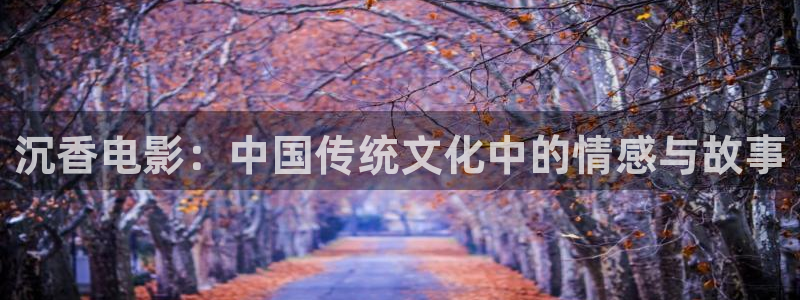 午夜伦理视频网站