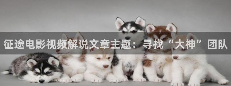欧美欧美午夜aⅴ在线观看