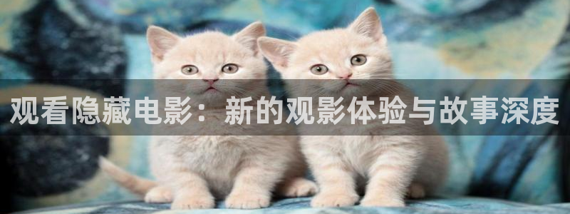 午夜dj电影