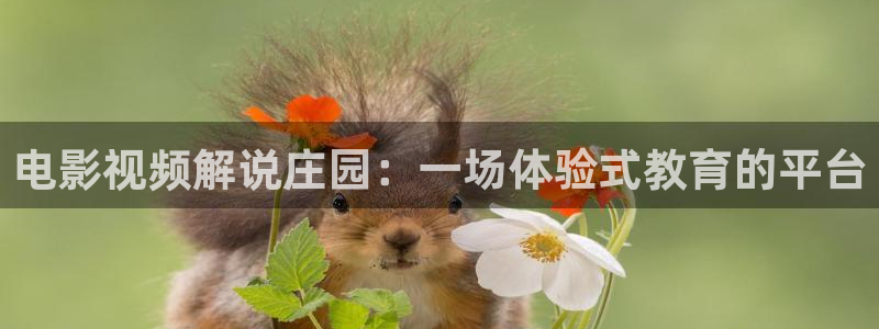 飘花影院午夜片
