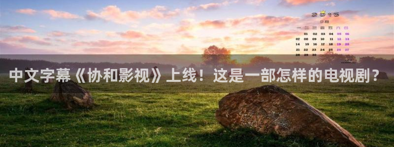 午夜爱爱电影免费看