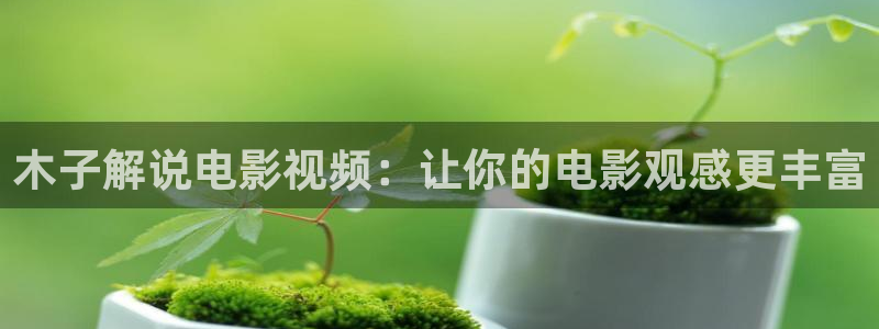神马午夜电影院伦理片