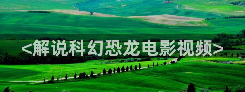 国产午夜电影网