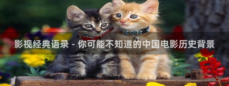 大约在午夜电影