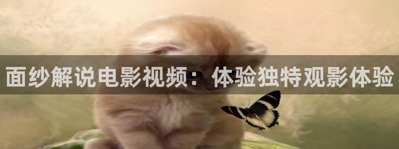 午夜被窝电影网