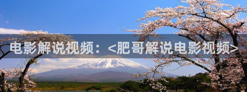 午夜看片网