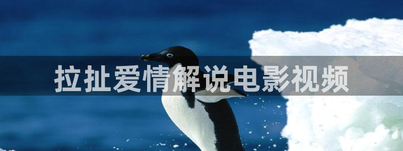 韩国午夜伦理影院