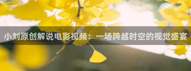 午夜影院播放器