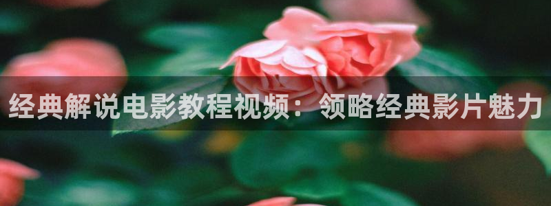 午夜限制级电影在线看
