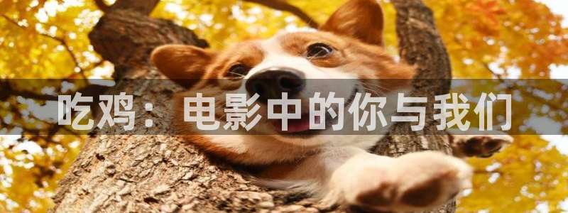 午夜风骚性年轻漂亮的三级黄色片