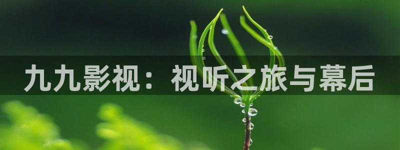 午夜a级片