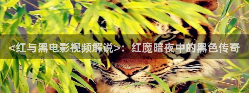 aaa午夜大片
