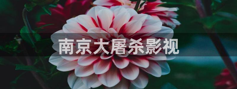 韩国午夜理论剧