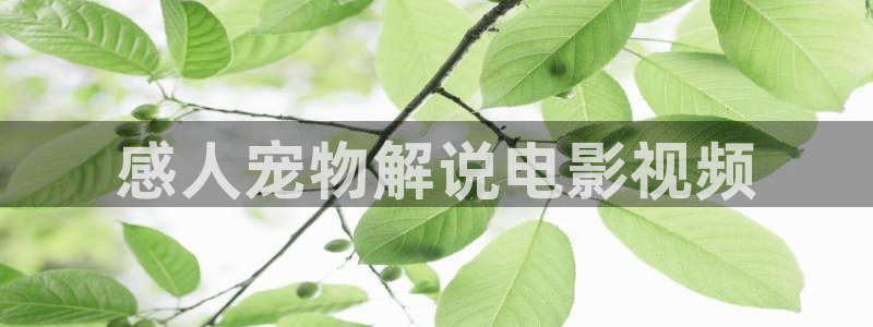 国产成人午夜在线电影