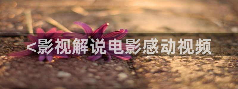 5060午夜在线观看