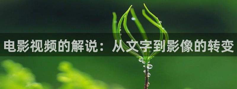 日本黄色午夜电影