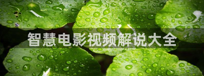 神马电影午夜麻豆