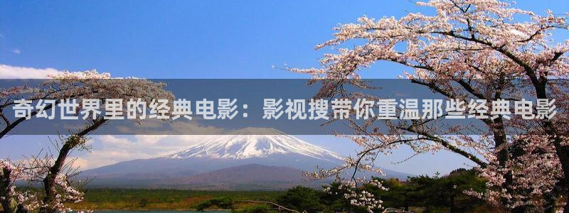 人成午夜精品视频在线播放