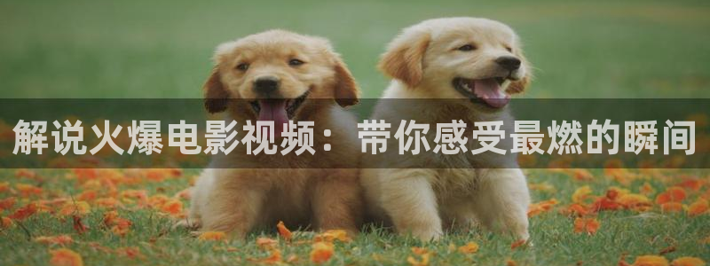 eeuss之午夜影院