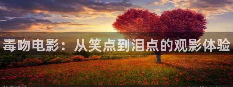 午夜影院我不卡