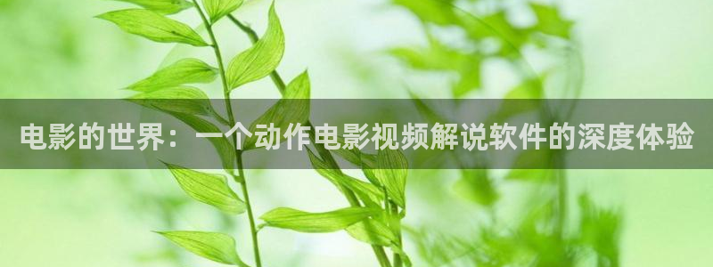 神马午夜 影院