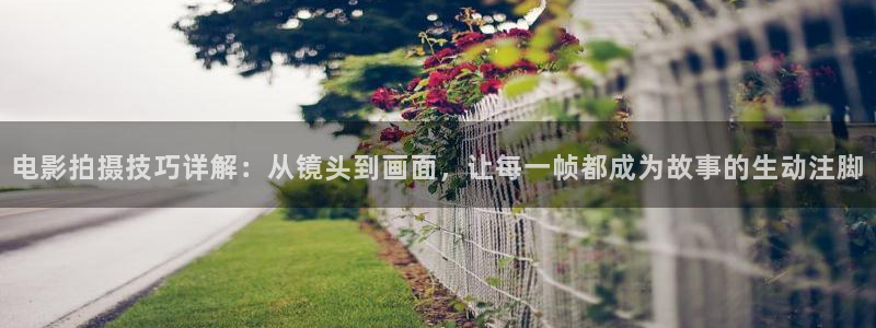 亚洲窝窝午夜看片