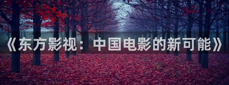 午夜影视播放器