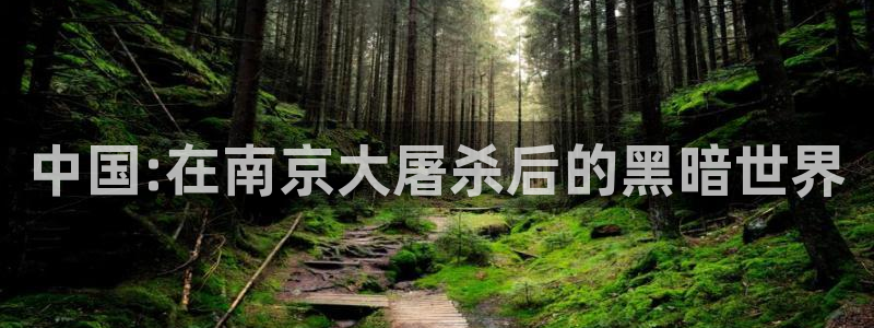 午夜天堂神马影院