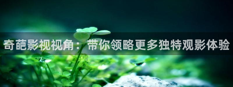 神马午夜伦理在线观看
