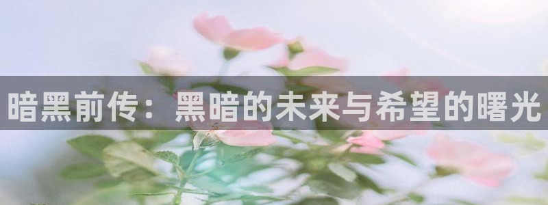 午夜大片免费在线观看